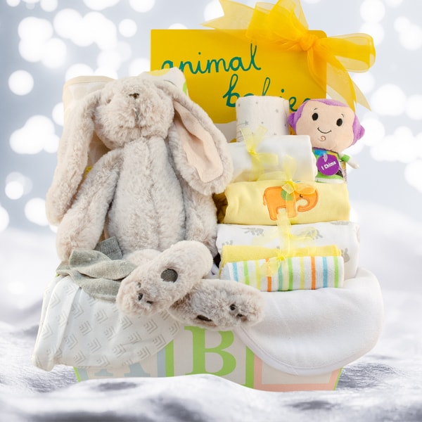 Overview of Baby Basket