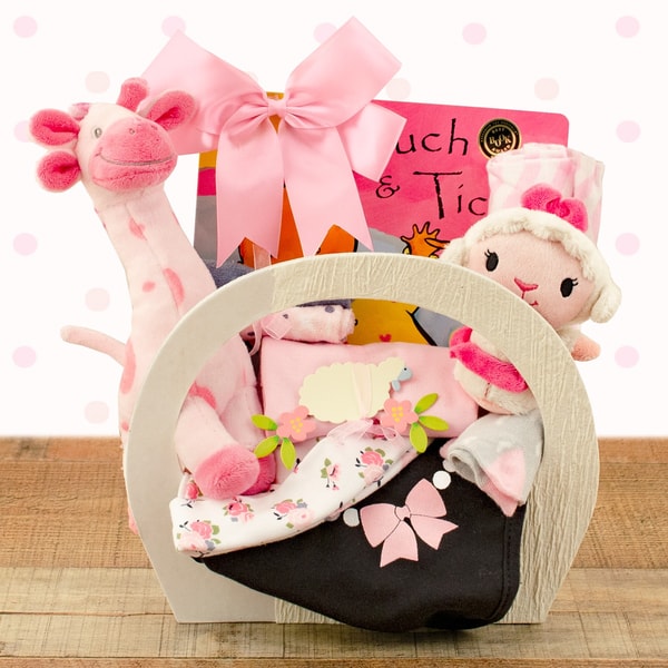 Baby Basket Review
