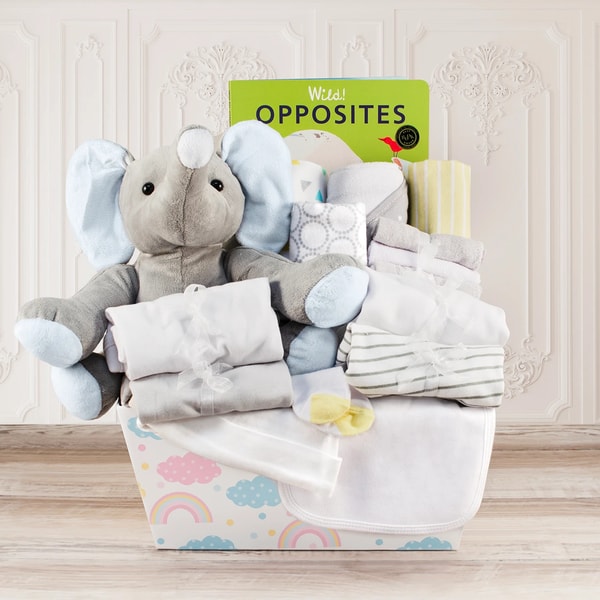 Baby Basket Welcome Home Baby Large Review
