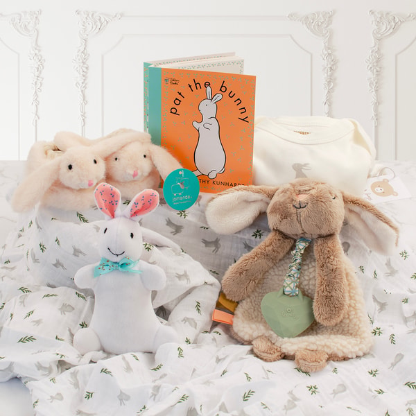 Baby Basket Pat the Bunny Book & Plush Gift Set Review