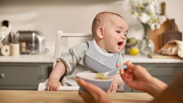 BabyBj&ouml;rn 리뷰