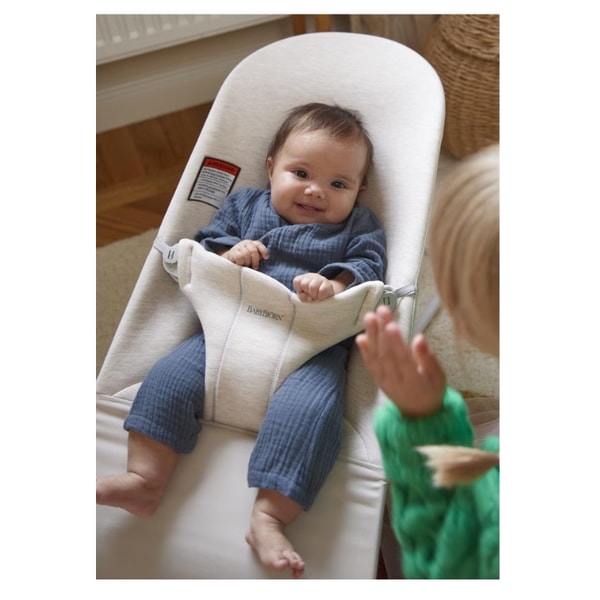 BabyBj&ouml;rn Bouncer Bliss Review