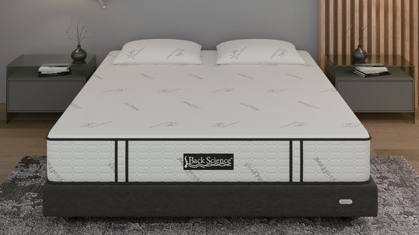 Back Science Series 1 Hybrid Mattress Review