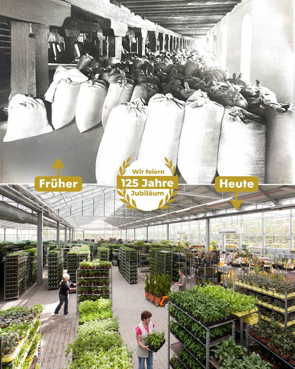 &Uuml;ber BALDUR-Garten