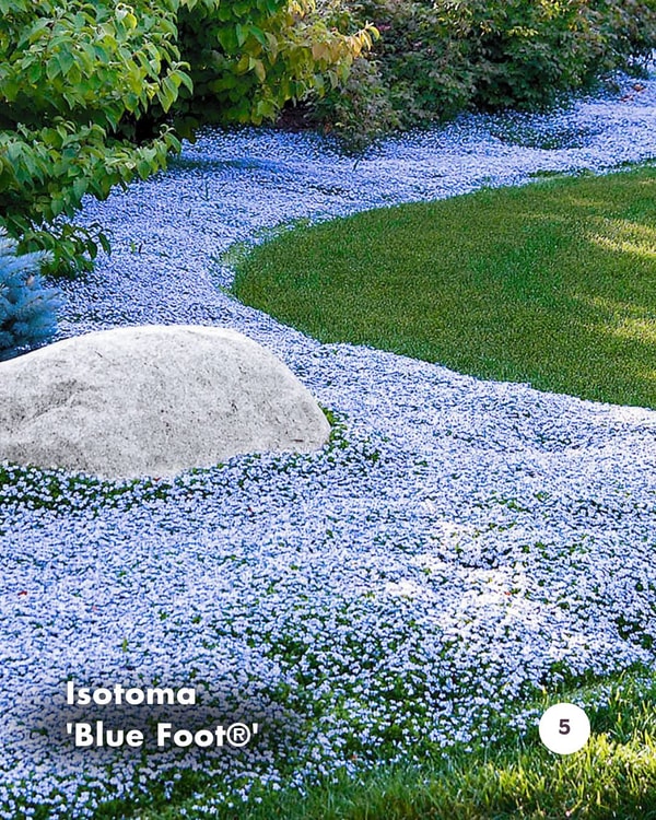 BALDUR-Garten Bewertung