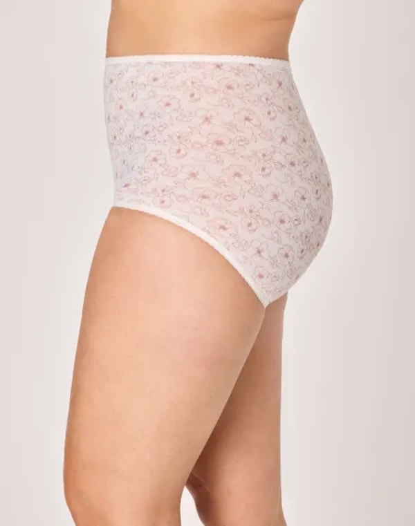 Bali Bras Skimp Skamp Brief Panty Review