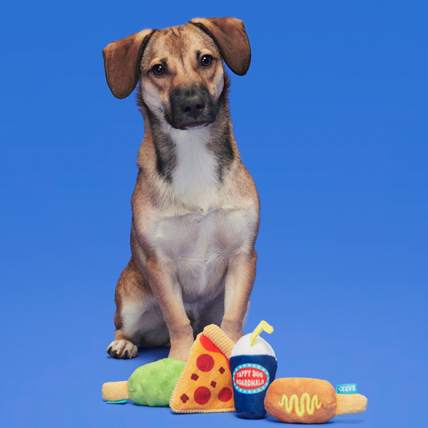 BARK Thrill Squeaker Snacks Plush Multi-Part Dog Toy Review