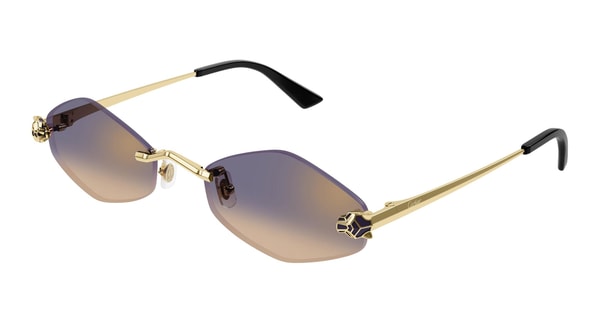 Bassol Optic Cartier CT0433S 005 55 Review