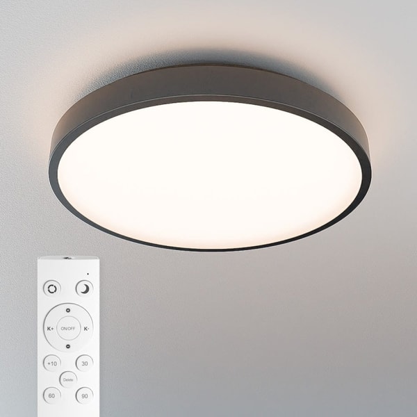 INTOLED Bathroom Ceiling Light Black Reviews