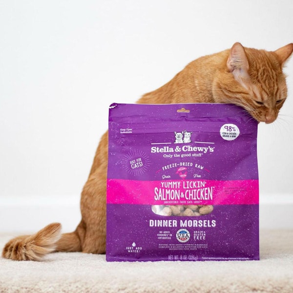 BaxterBoo Stella & Chewy's Yummy Lickin Salmon & Chicken Dinner Cat Food - Freeze Dried Review