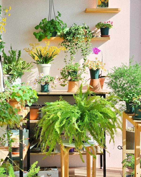 Dans l'univers de BE.GREEN