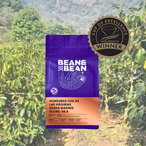 Bean & Bean Downtown Blend Organic & Fair Trade Review
