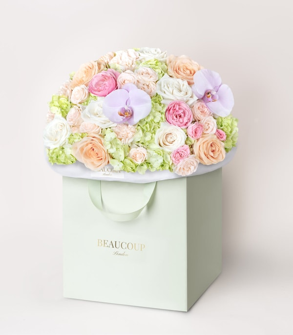 Beaucoup London The Warmest Chapter Reviews