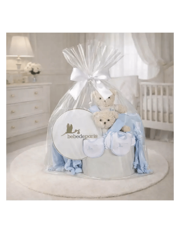 Beb&eacute; de Par&iacute;s Classic Baby Hamper for Twins Review