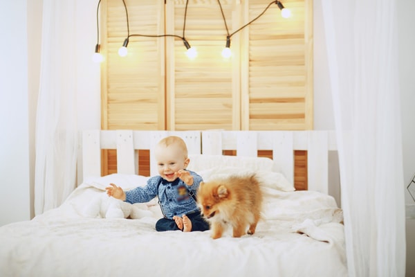 Bed's: expertos en descanso