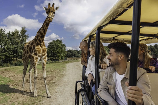 Inzichtelijke Verkenning van Safaripark Beekse Bergen