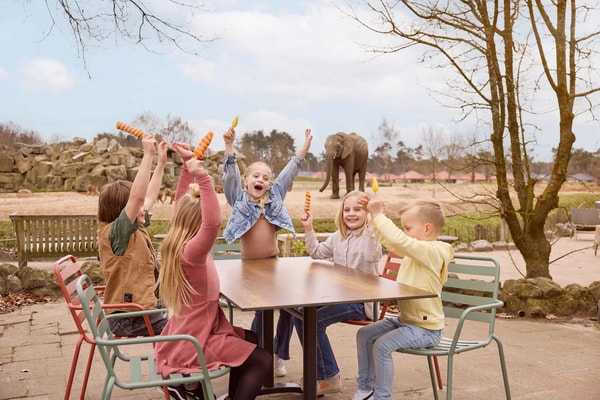 Beekse Bergen Beoordeling