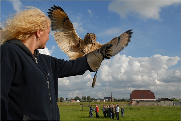 Over Belevenissen.nl