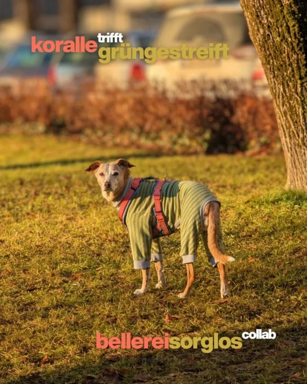 &Uuml;ber das Bellerei