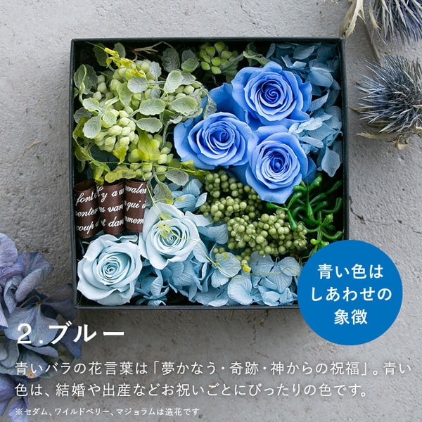 Bellevie レビュー