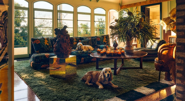 About Beni Rugs