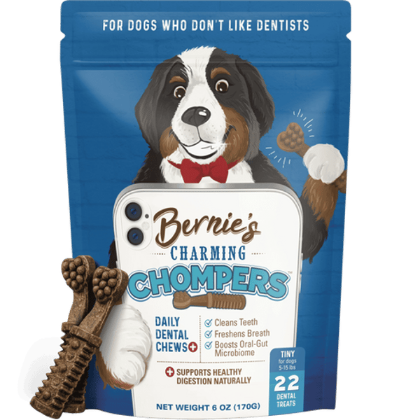 Bernie's Best Charming Chompers Review