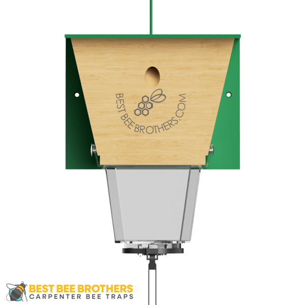 Best Bee Brothers Ultimate Pro Trap Review