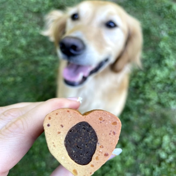 About Best Bully Sticks