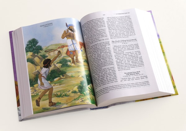 Bibles.com Review