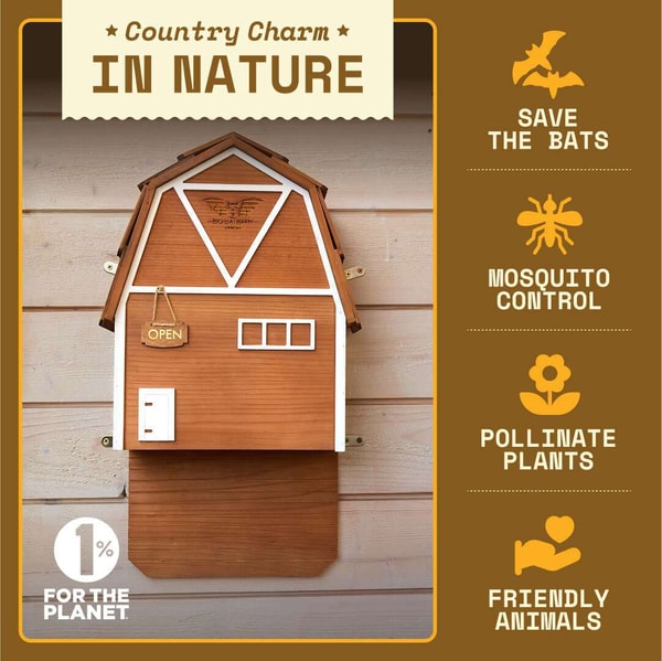 Big Bat Box Big Bat Barn Review