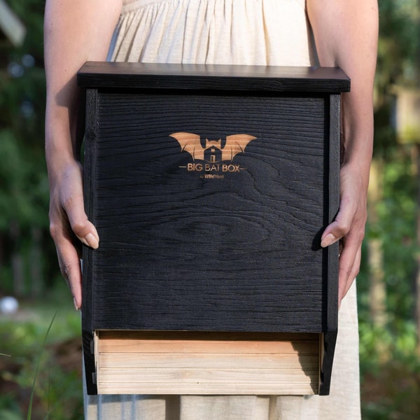 Big Bat Box Two-Chamber Bat House Review