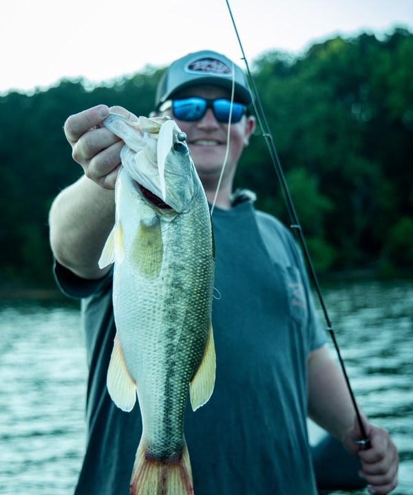 Overview of Big Bite Baits