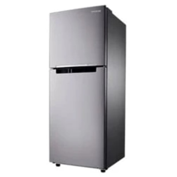 Big C Samsung 2-Door Refrigerator RT20HAR1DSA/ST 7.3 cu ft Review