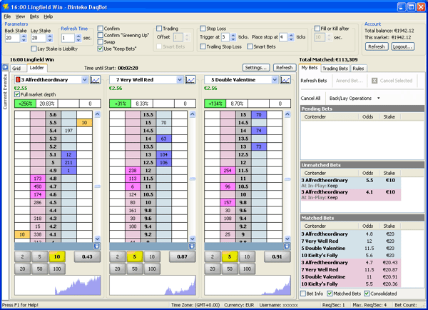 About Binteko Software