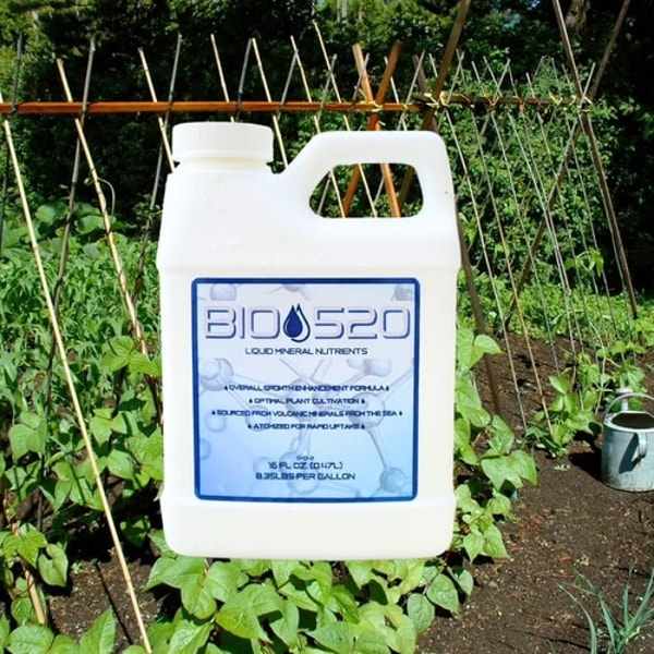 Bio520 Review