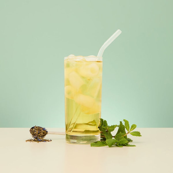 Bird & Blend Tea Co. Review