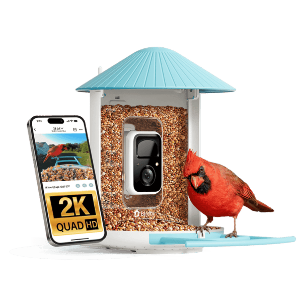 Birdfy Feeder Reviews