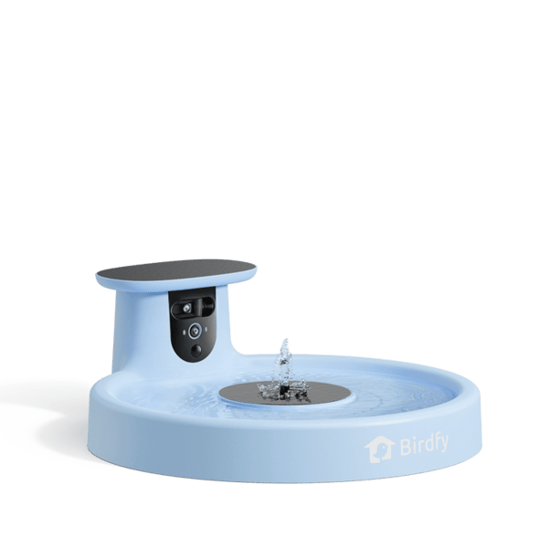 Birdfy Bath Pro Reviews