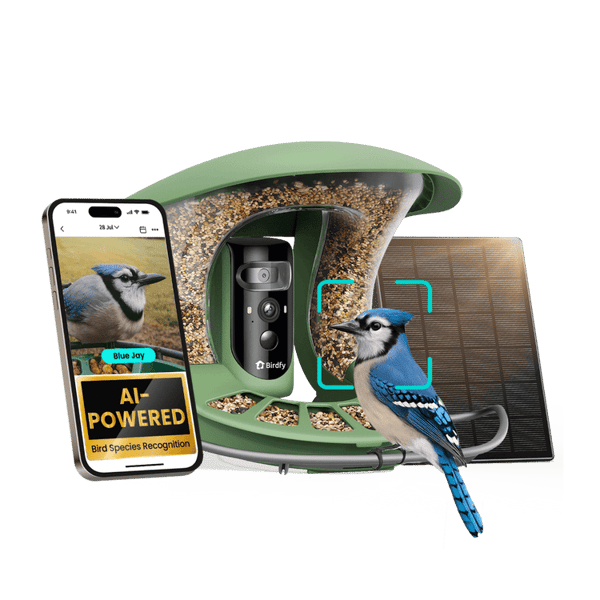 Birdfy Feeder 2 Pro Reviews
