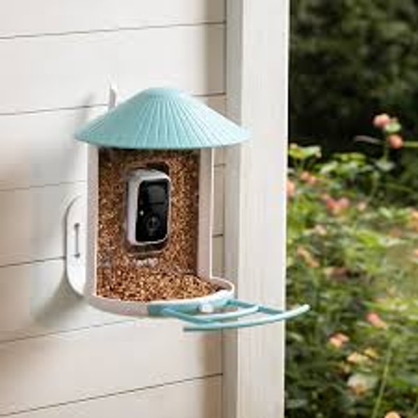 Birdfy Review