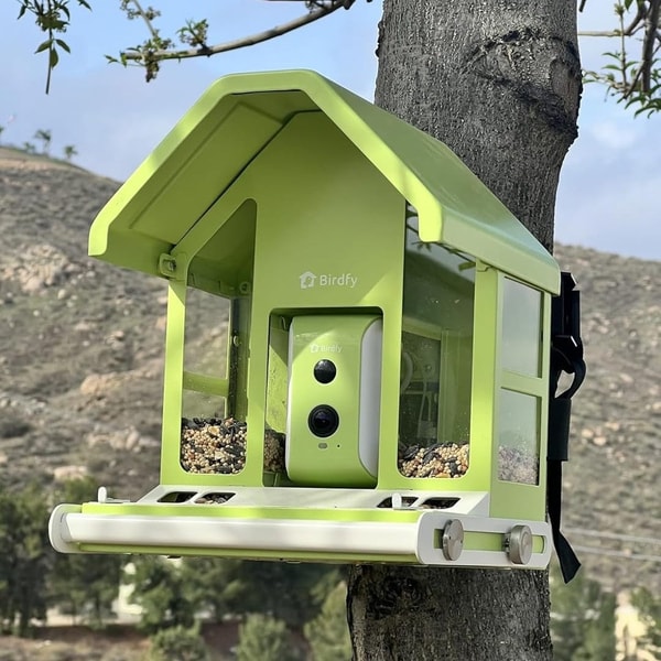 About Birdfy