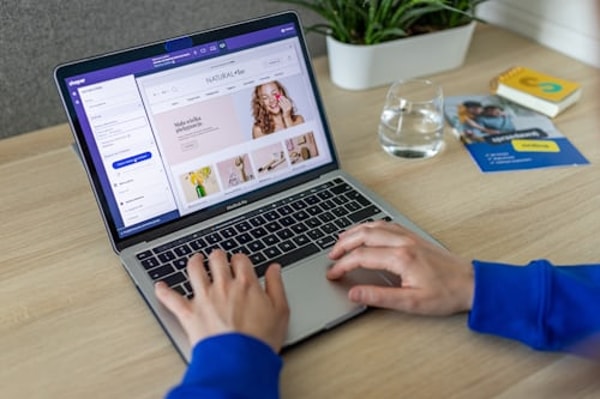 About BizExplorer
