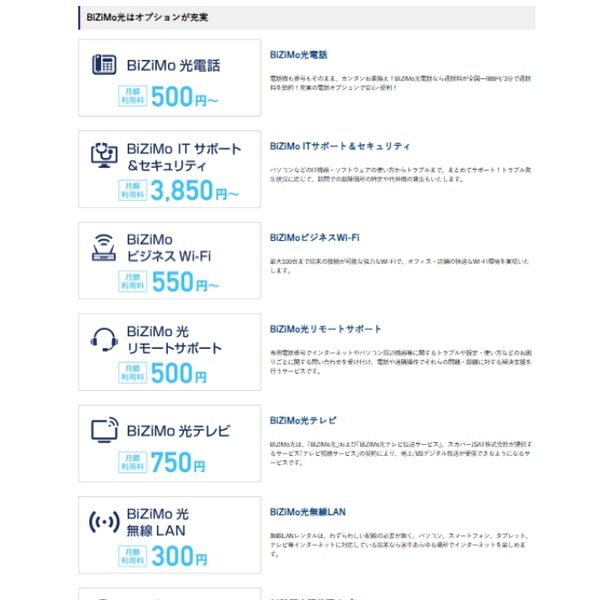 BiZiMo光 インターネット レビュー