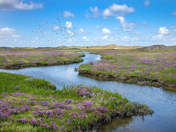 Blankenberger Duinen Bewertung