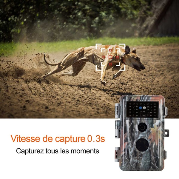 BlazeVideo Avis