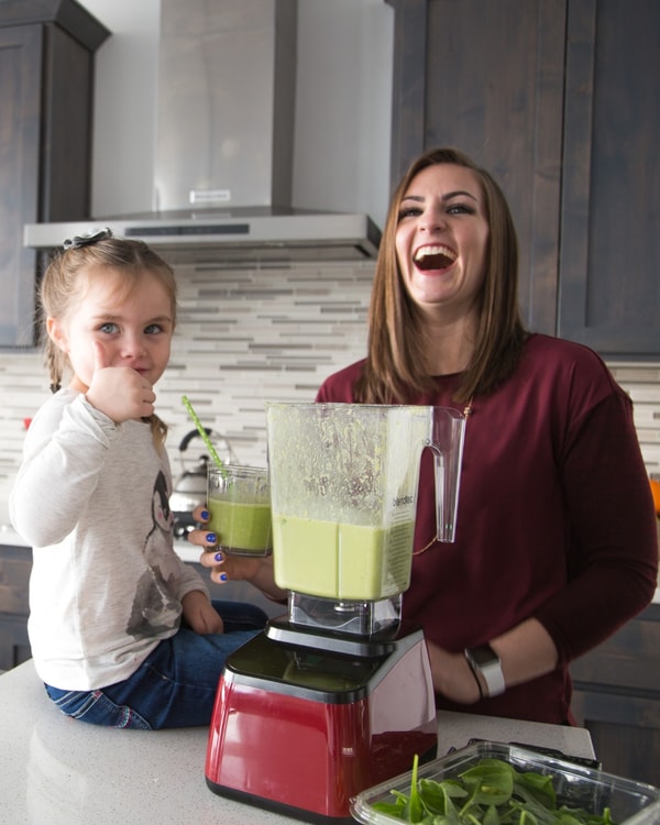 Blendtec Review