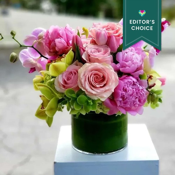 BloomNation Positano Garden Reviews