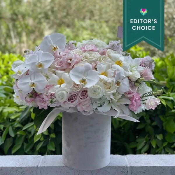 BloomNation Orchids with flowers Reviews