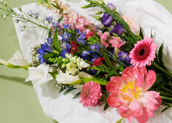 Over bloomon