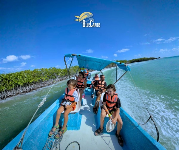 Acerca de Blue Caribe Tours